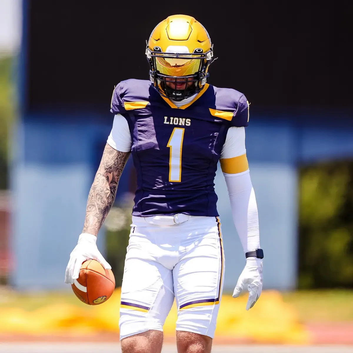 Double Arm Sleeves (2pk)