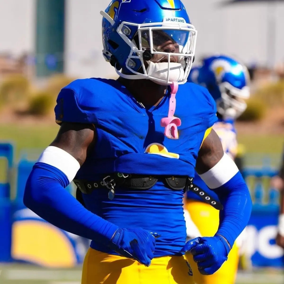 Double Arm Sleeves (2pk)